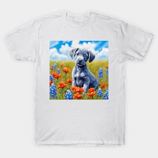 Blue Lacy Puppy in Texas Wildflower Field T-Shirt